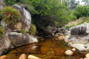 Sitio Costero – Fundo Chaihuín | Huiro, Corral