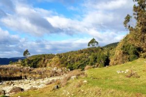 Sitio Costero – Fundo Chaihuín | Huiro, Corral