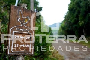 Parcelas De 5.000M2 Con Bosque Nativo En Borde Costero