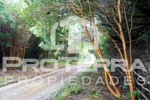 Parcelas De 5.000M2 Con Bosque Nativo En Borde Costero